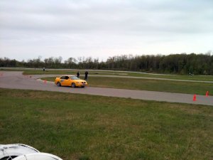 img_0239.jpg