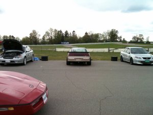 img_0274.jpg