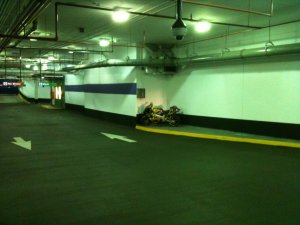 IMG_0420.jpg