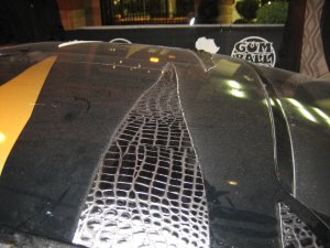 IMG_1357.JPG