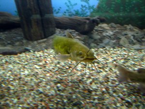 img_8050.jpg