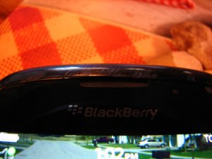 img_8113.jpg