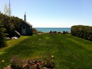 IMG_4686.jpg