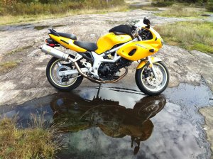 IMG_3051.jpg