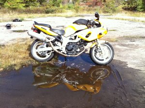 IMG_3053.jpg