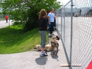 img_7021.jpg