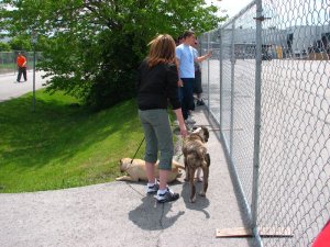 img_7022.jpg