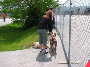 img_7023.jpg