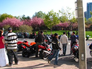 IMG_9602.JPG