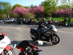 IMG_9605.JPG