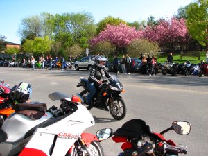 IMG_9609.JPG