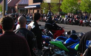 IMG_9775.JPG