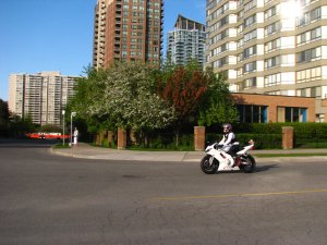 IMG_9785.JPG