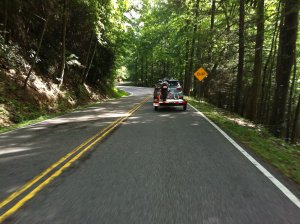 IMG_4805.jpg