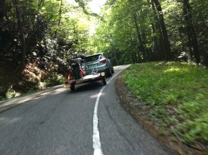 IMG_4817.jpg