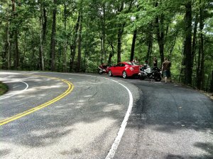 IMG_4981.jpg