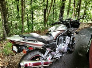 IMG_4990.jpg