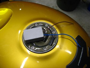 IMG_1005.JPG