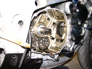 IMG_8934.JPG