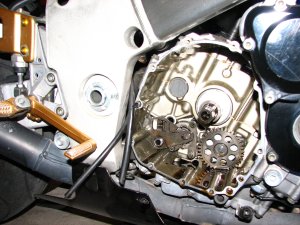 IMG_8935.JPG