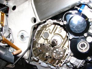 IMG_8936.JPG