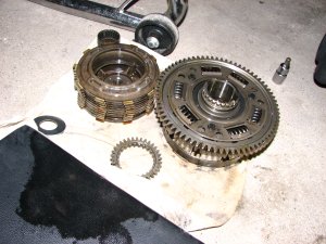 IMG_8938.JPG