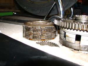 IMG_8939.JPG