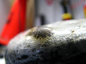 img_9393.jpg