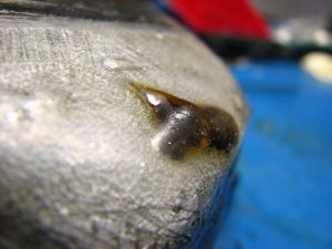 img_9395.jpg