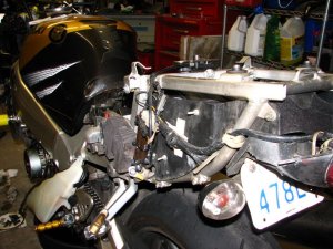 img_9445.jpg
