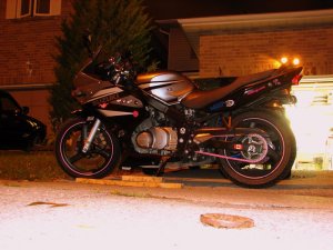 img_9203.jpg