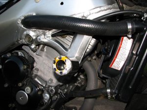 img_4123.jpg