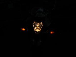 IMG_8485.JPG