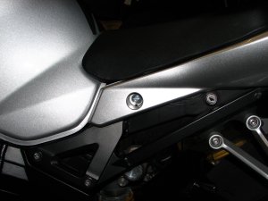 IMG_8517.JPG
