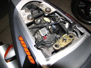 IMG_8528.JPG