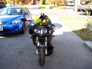 img_4319.jpg