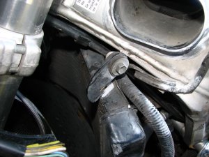 img_4339.jpg