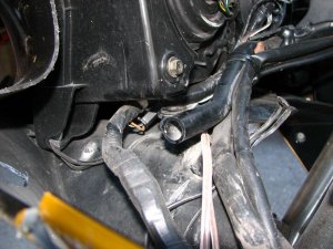 img_4341.jpg