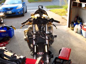 img_4388.jpg