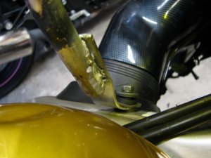img_4465.jpg