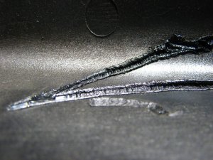 img_4495.jpg