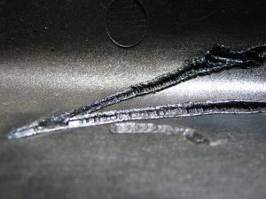 img_4496.jpg