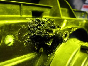 img_4503.jpg