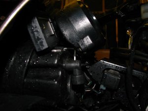 img_6309.jpg