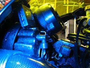 img_6310.jpg