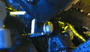 img_6313.jpg