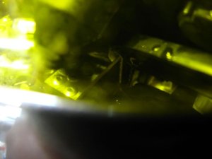 img_6319.jpg