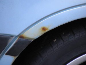 IMG_0437.JPG