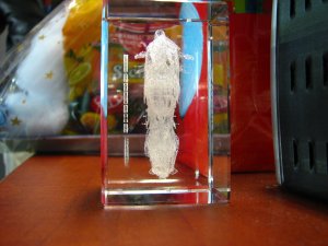 IMG_7442.JPG