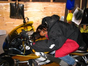 IMG_7250.JPG
